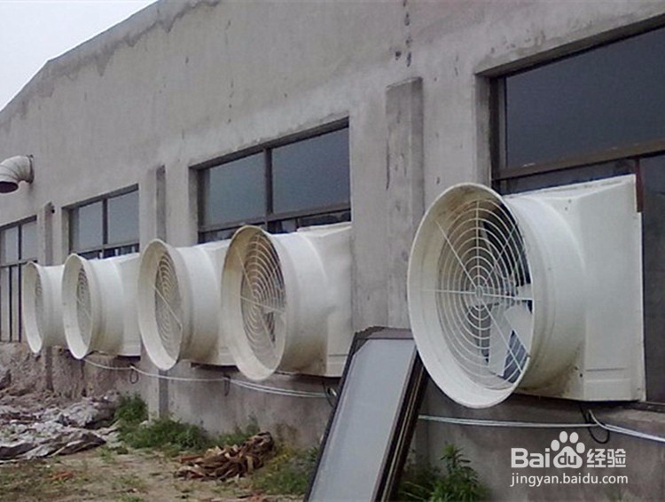 车间排蒸汽什么方法好?