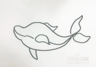 如何画一只小海豚