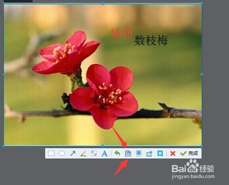 怎么在图片上添加文字？（两种方法）