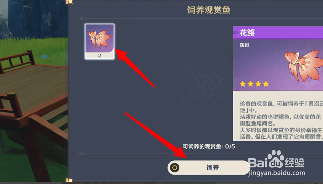 原神鱼怎么养
