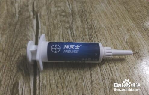 家里有很多小蟑螂怎么办