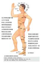 人体要害太阳穴