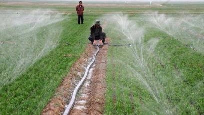 水肥一体化系统是如何实现灌溉施肥自动化的