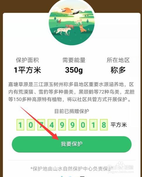 支付宝蚂蚁森林95徽章碎片怎么获得