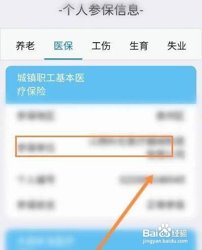 怎么查询江西人社个人社保