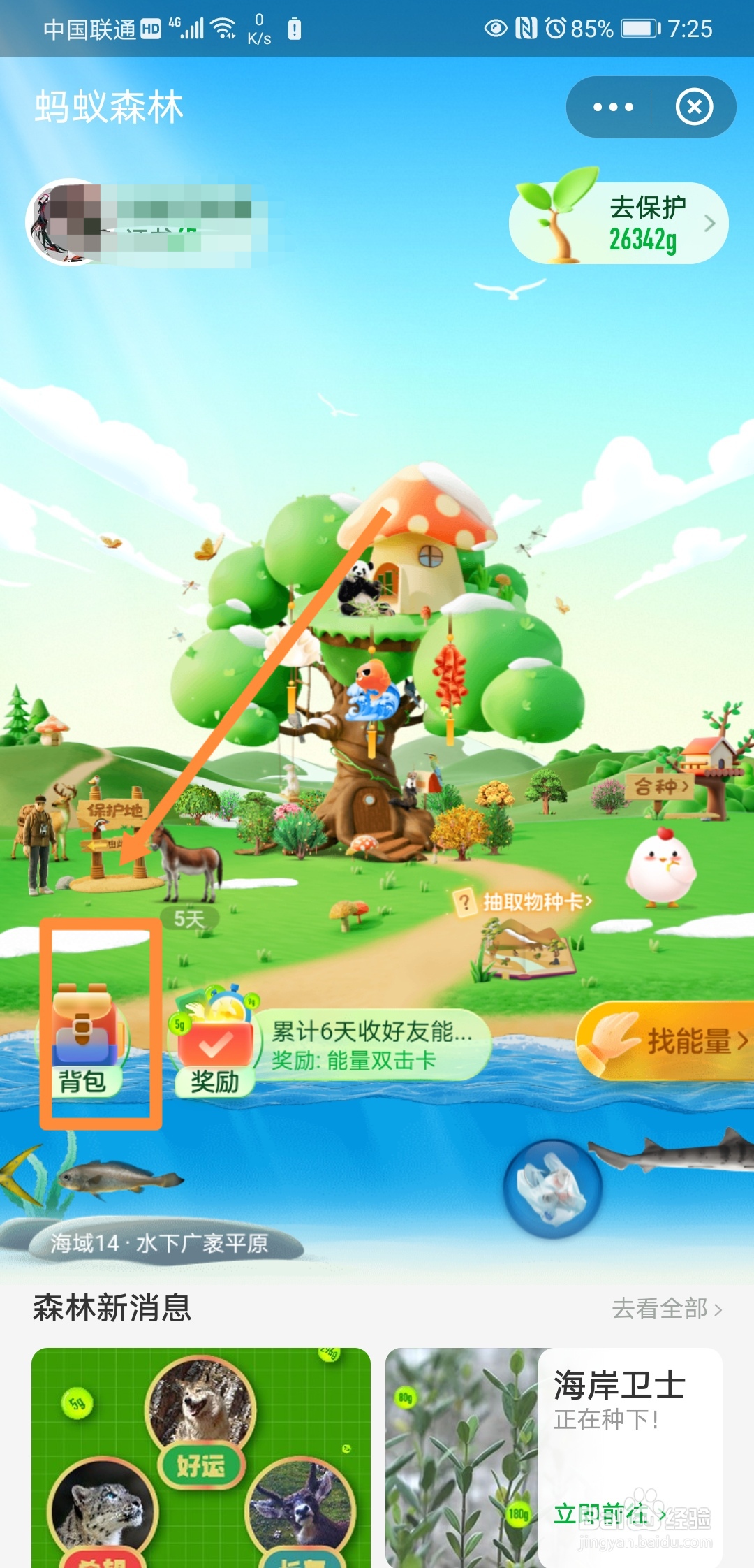 如何对支付宝的森林进行皮肤装扮