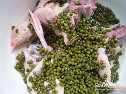 鸽子绿豆汤的做法与功效