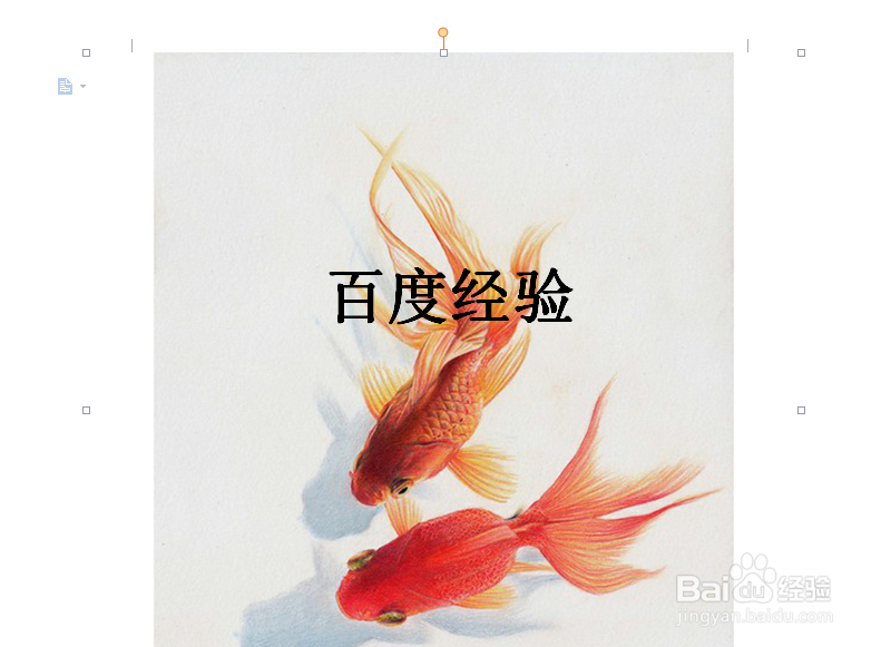 在WPS文件中怎样将图片设置为背景