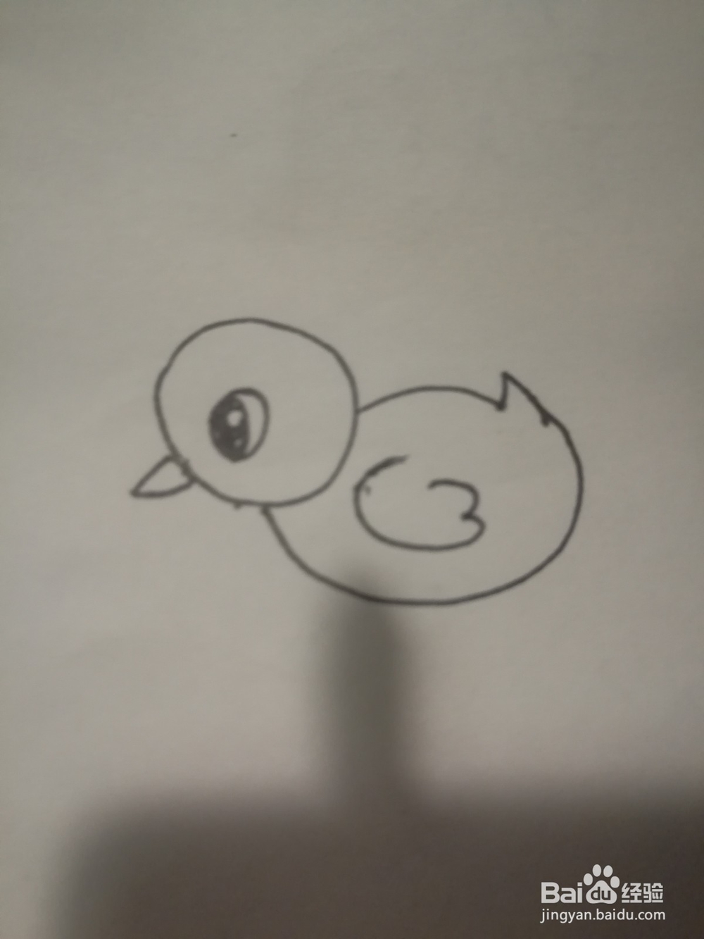 一只小鸡的简笔画