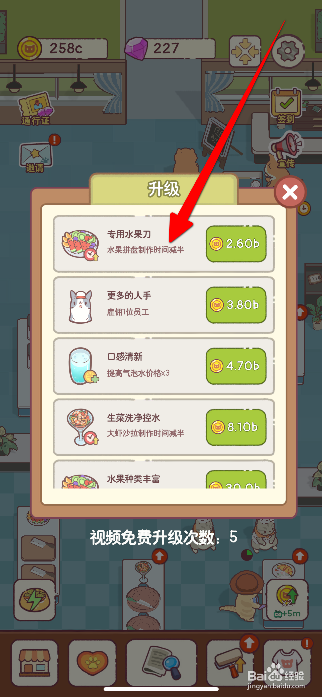 猫咪厨房置水果拼盘制作时间减半攻略