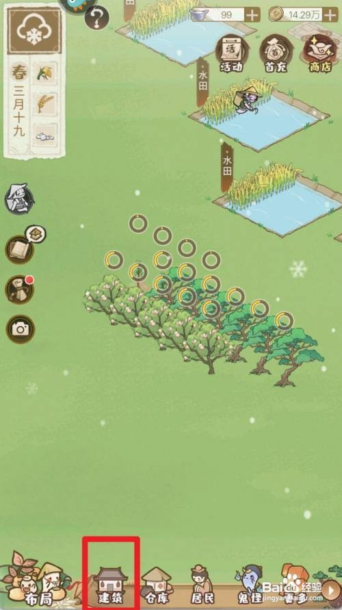 解忧小村落如何才能种植松树