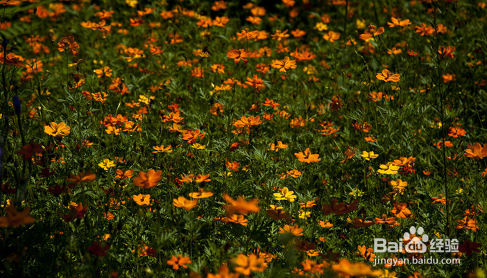 小孩感冒了怎么办?