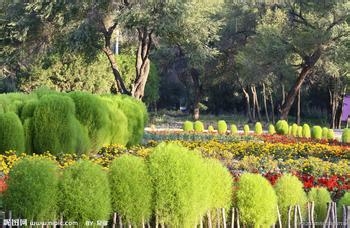 五一想带宝宝出去玩吗?注意事项看这里