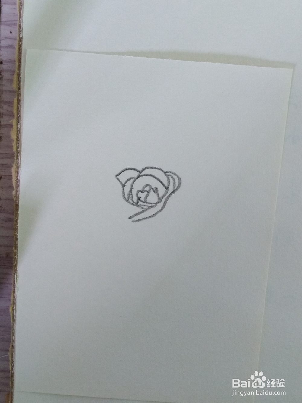 简笔画画玫瑰花