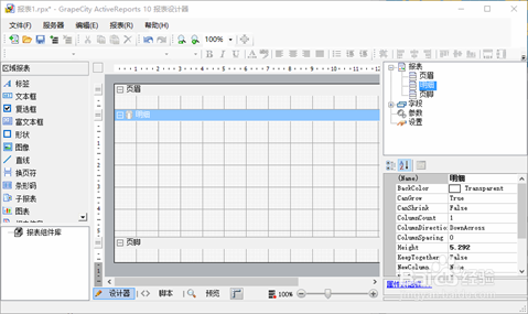 ActiveReports 报表设计器设计不同报表：脚本