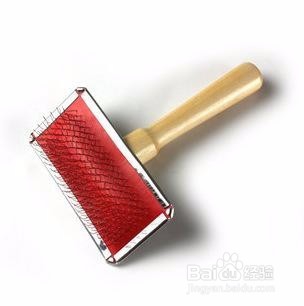 冬季狗狗穿衣服容易打结怎么办