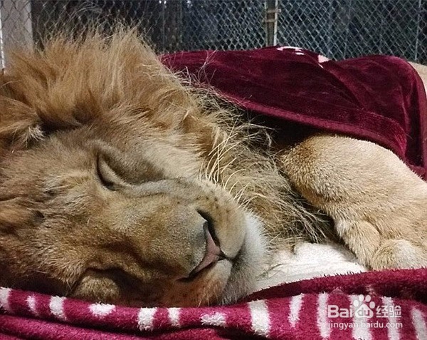 怎么样调节自己的健康作息时间表？