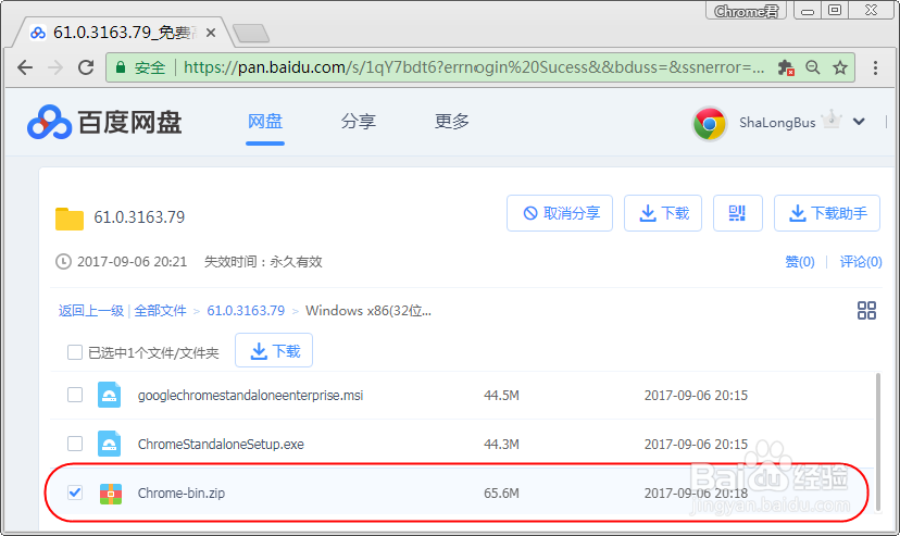 Chrome浏览器如何制作绿色免安装版/便携版?