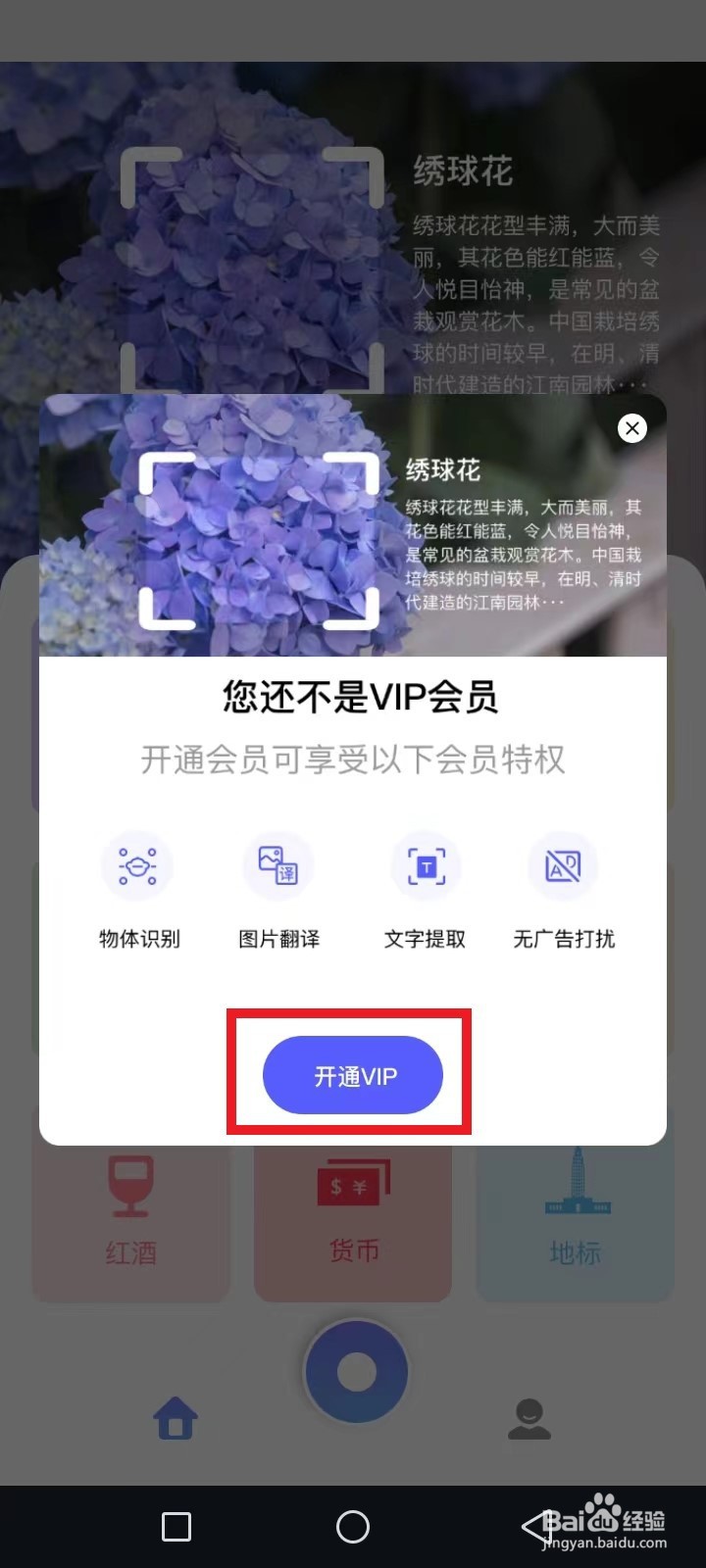 识花君怎么不识别花了