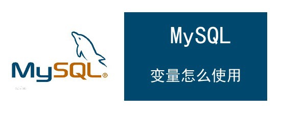 <b>mysql 变量怎么使用</b>