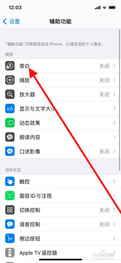 苹果11pro手机旁白盲文显示屏幕键盘如何关闭
