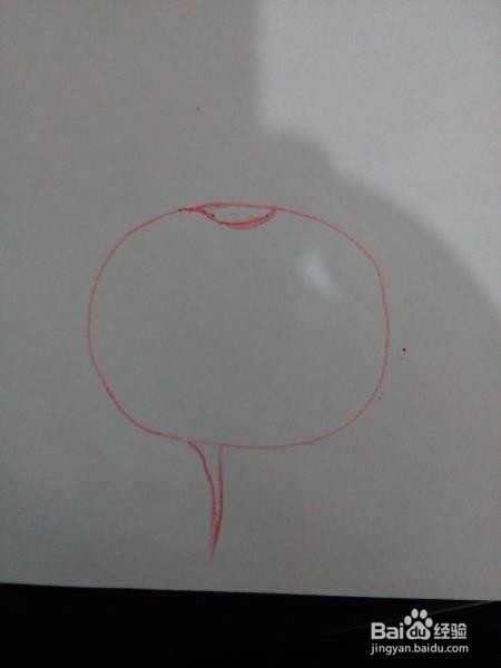 怎样简笔画萝卜