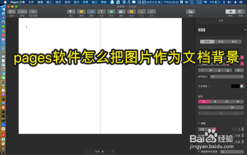 Pages软件怎么把图片作为文档背景 百度经验