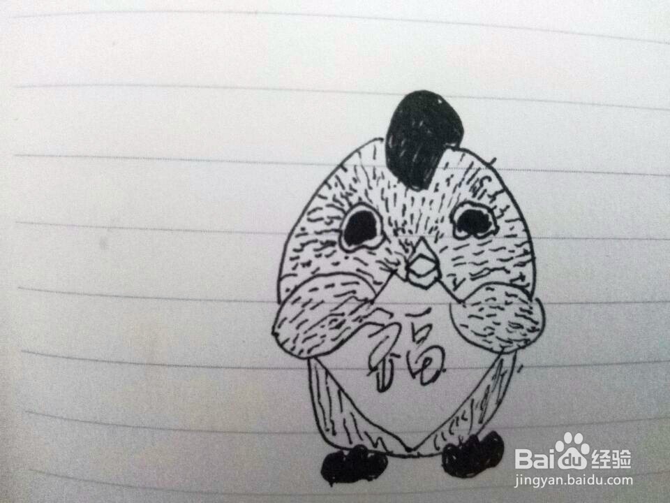 卡通小鸡的画法分享
