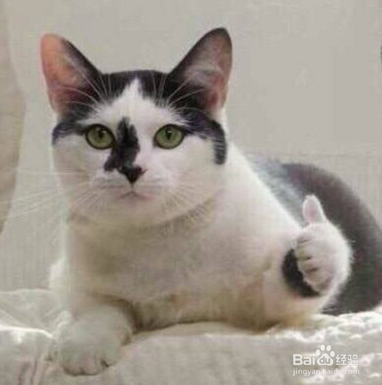 没有备份怎么恢复删除的微信聊天记录