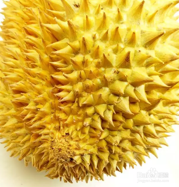 购买榴莲时如何挑选好的榴莲？