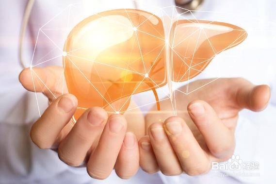 有助于平衡脂肪肝的食物