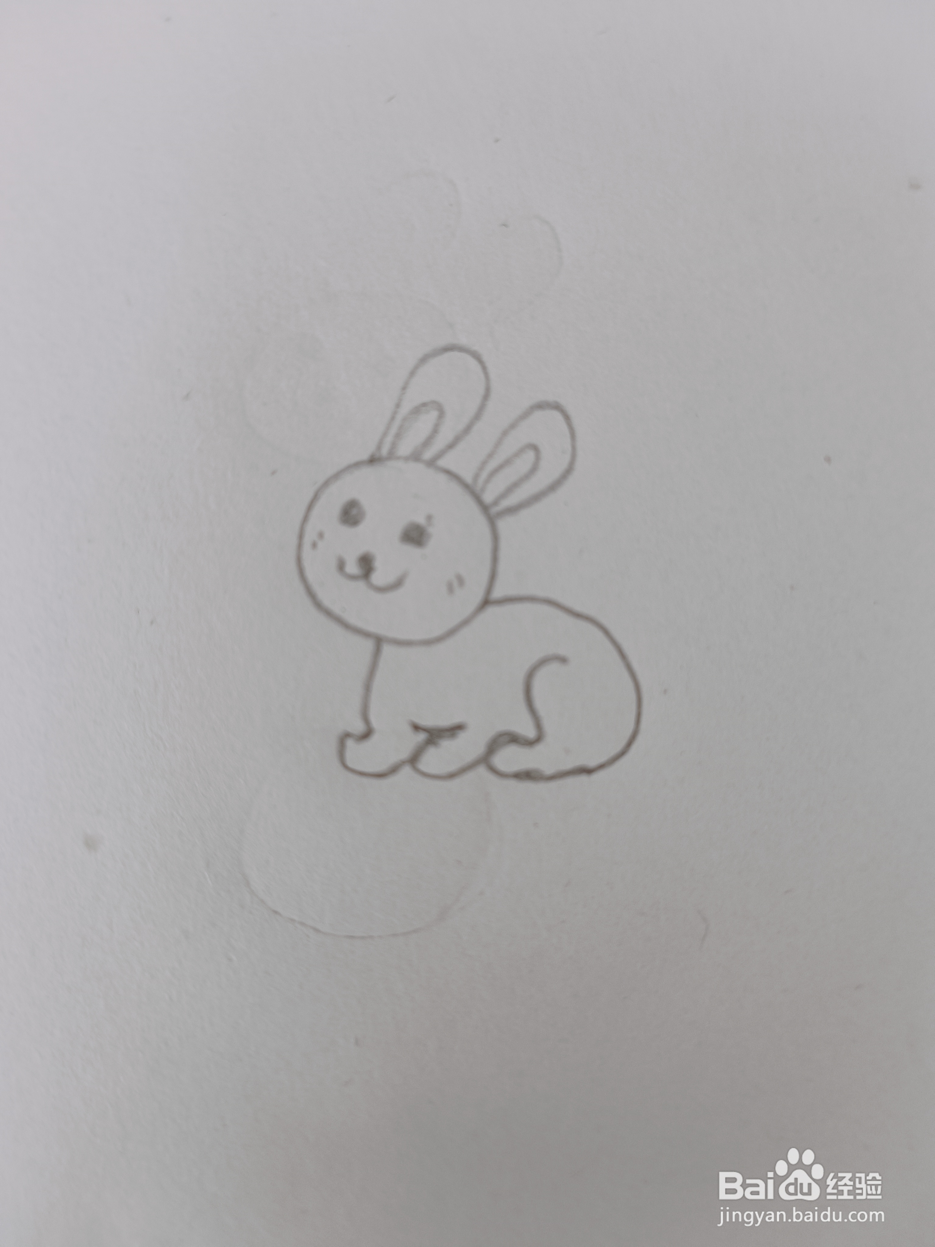 兔子的简单画法