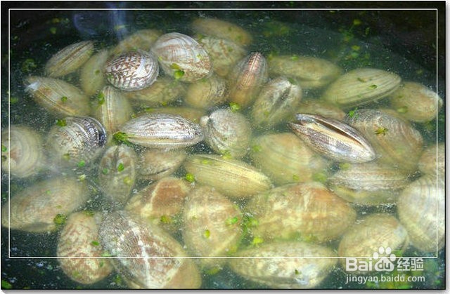 原创:如何做葱油花蛤