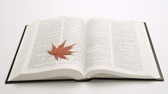 教你公文写作的步骤与方法