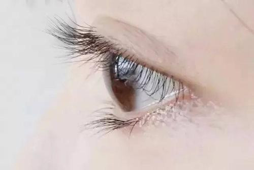 让睫毛永久翘的小窍门