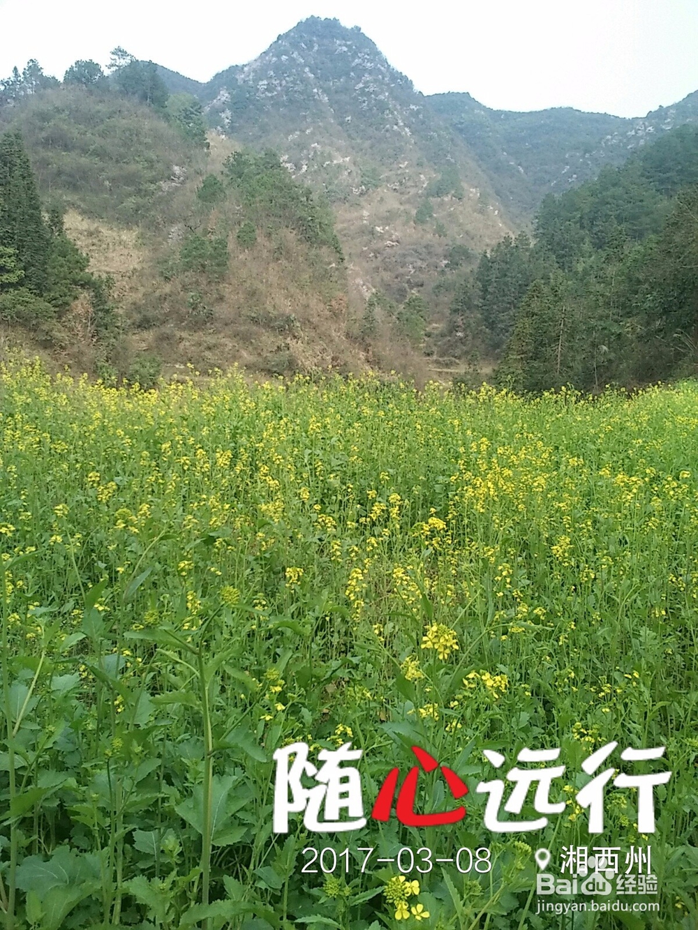 商战·美人劫攻略