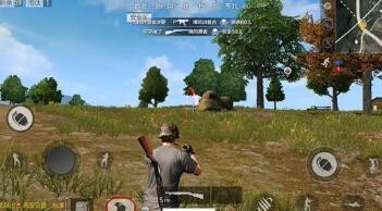 全息灌木使用技巧攻略