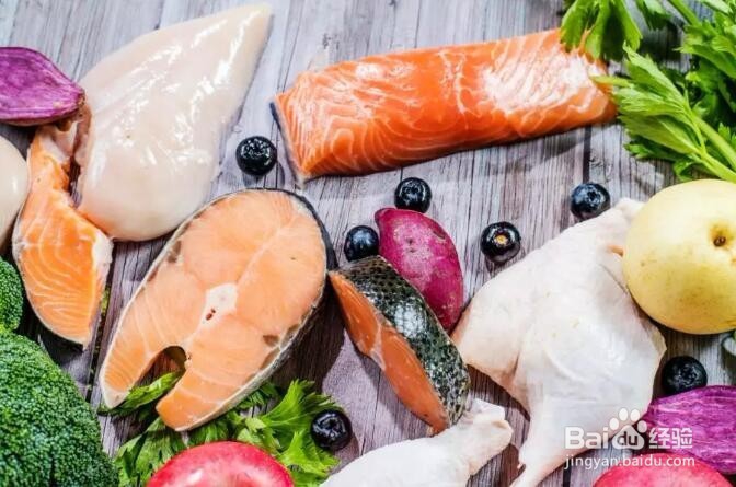 如何从成分标签看狗粮好与坏