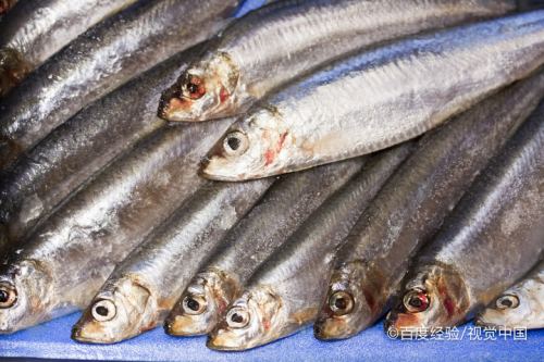 鲱鱼罐头这么臭为什么有人吃