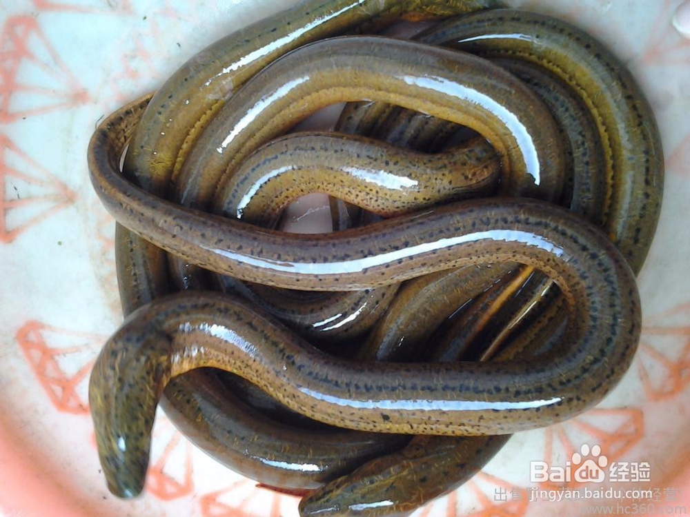 高血糖吃什么好