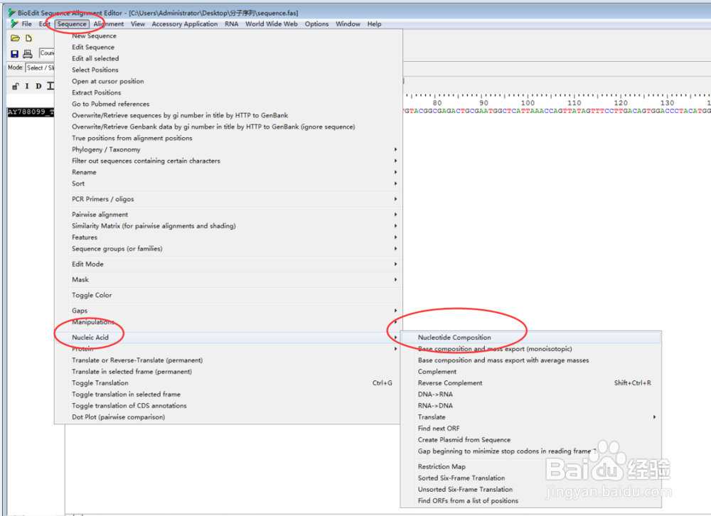 应用BioEdit 软件进行DNA序列GC含量的计算