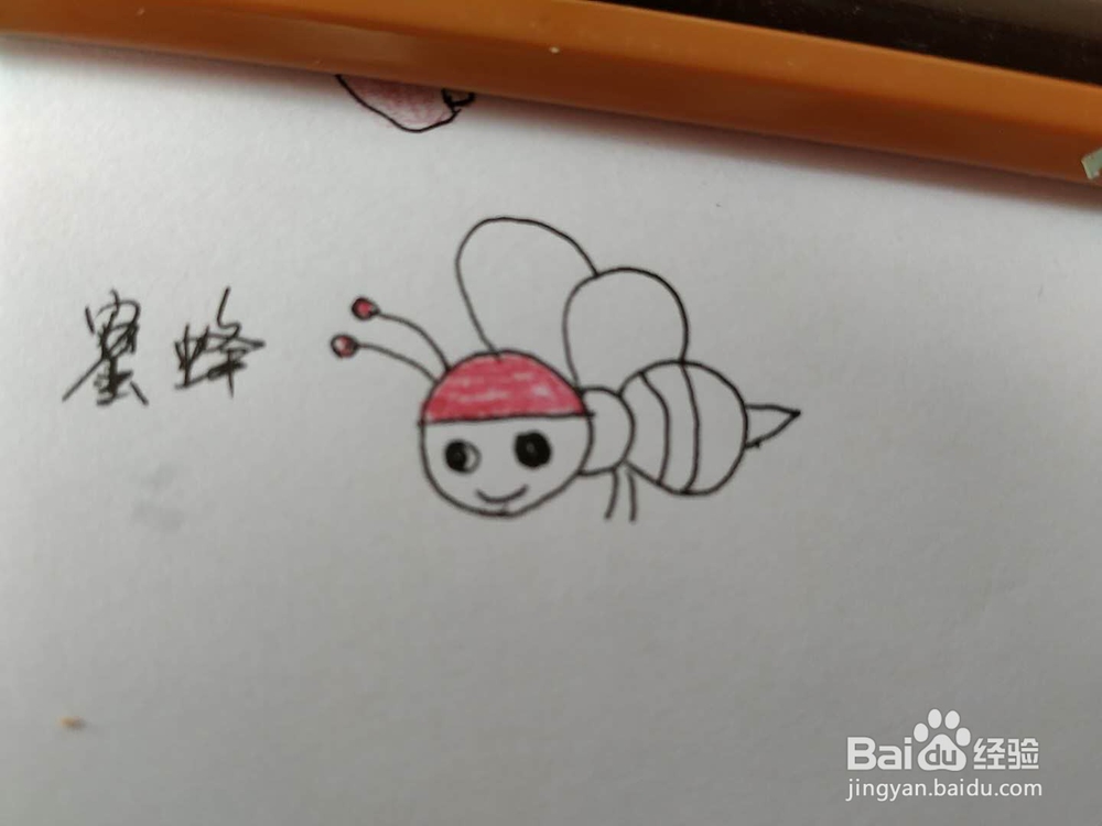小蜜蜂简笔画怎么画,怎么画卡通小蜜蜂简笔画
