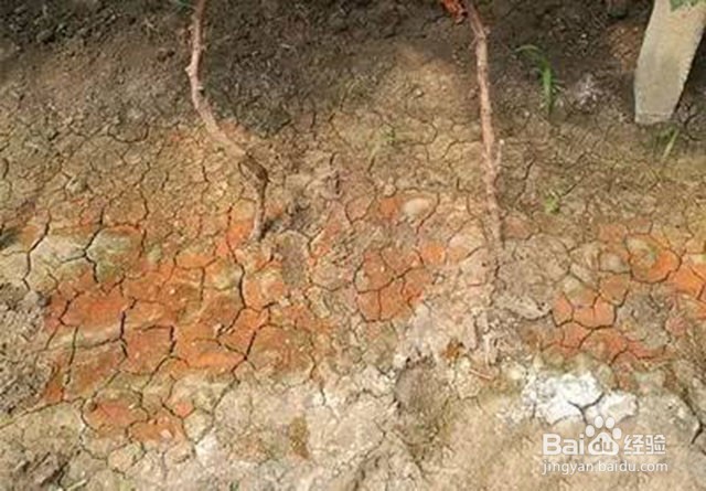 黄腐酸钾好用吗？黄腐酸钾防治土壤质地问题