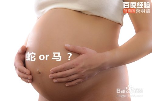 八卦命理：[8]2014年何时出生才算马宝宝？