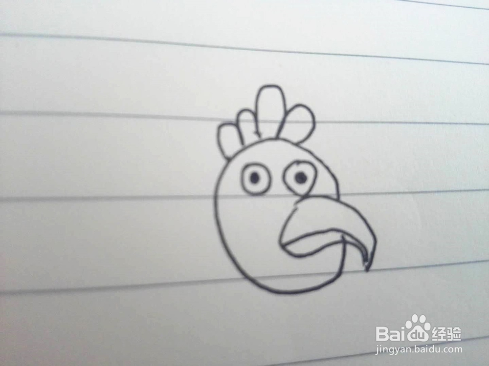 简笔画之老母鸡的画法经验分享