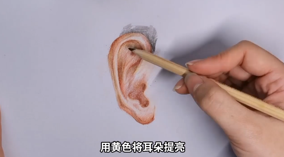 如何用彩铅画耳朵？