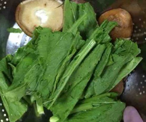自创蔬菜燕麦汤