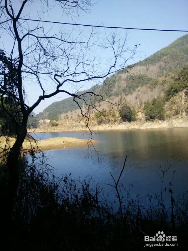 江西省马头山原始森林指南