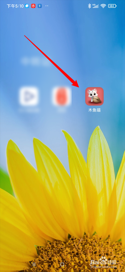 木鱼喵app在哪进行意见反馈