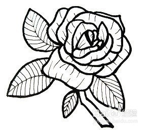 玫瑰花的简笔画